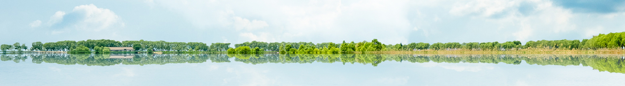 关于美狮贵宾会官网